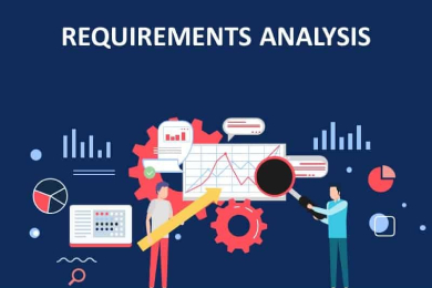 Consultation and Requirement Analysis